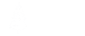 The Pines Hotel Swanage – The beach-front Hotel on the Dorset coast!